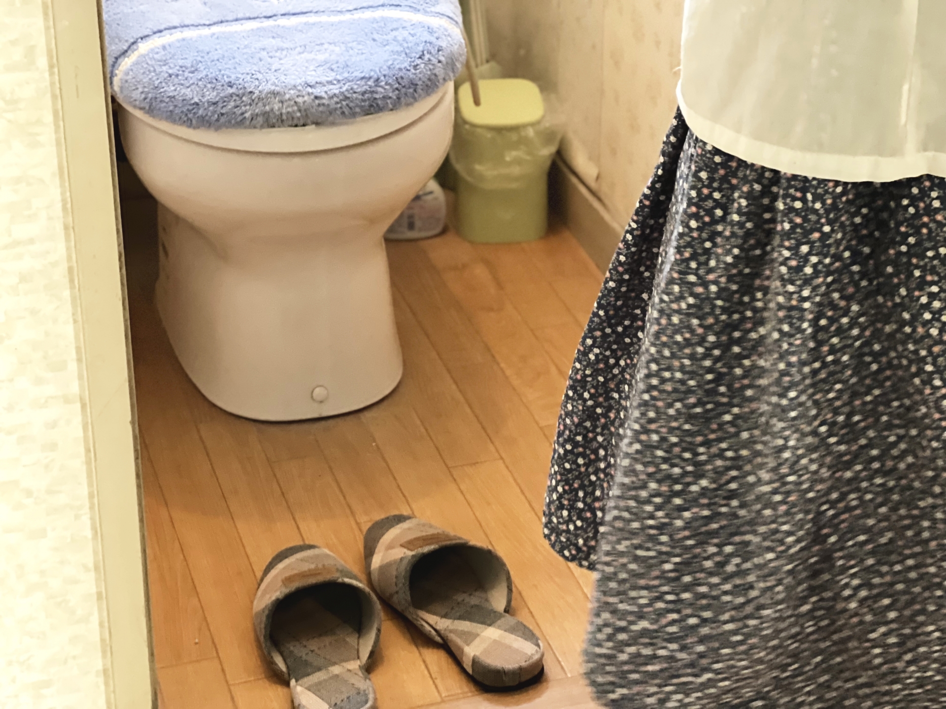 東京都足立区のリフォーム前を想定した古い洋式トイレのイメージ（梅雨時のカビやニオイが気になる状態
